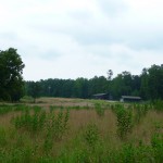field, park buildings