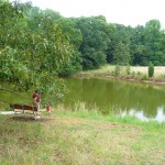 bench at pond