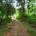 trail near pond