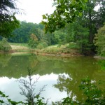 pond