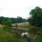 pond