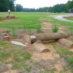 natural play area
